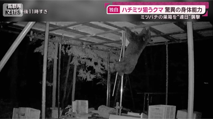 一部始終
