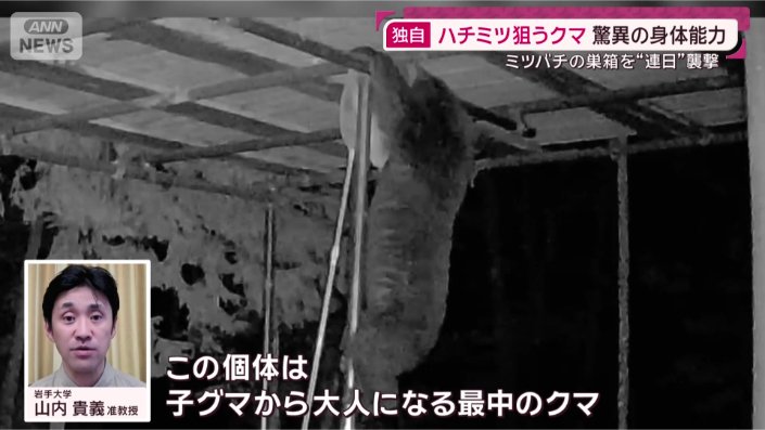 岩手大学 山内貴義 准教授