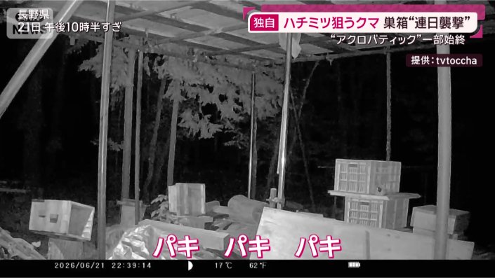 一部始終