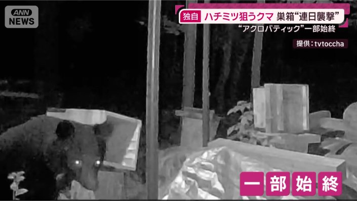 一部始終
