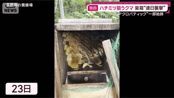 ミツバチの巣箱