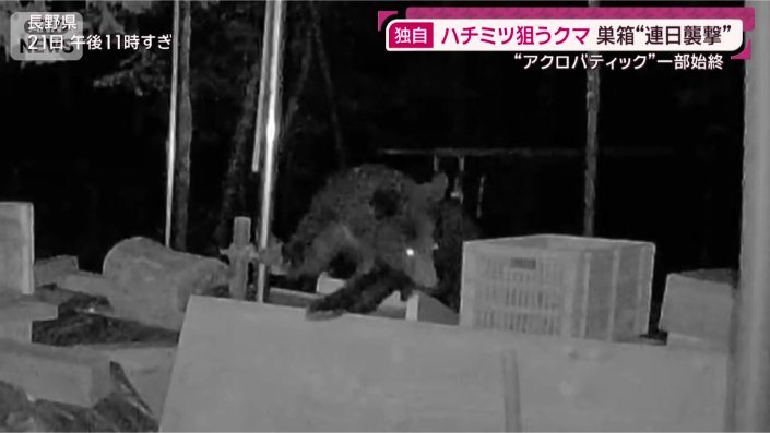 一部始終