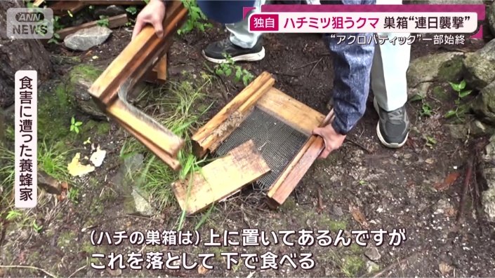 食害に遭った養蜂家