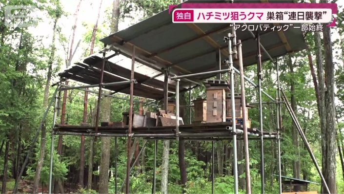 小屋