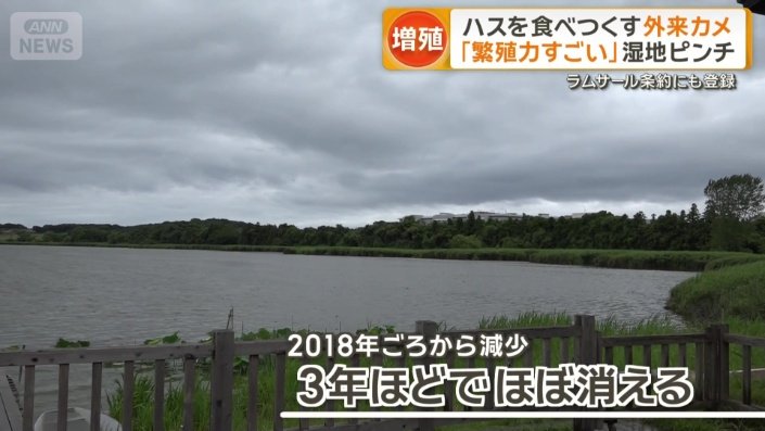 わずか3年ほどでほぼ姿を消した