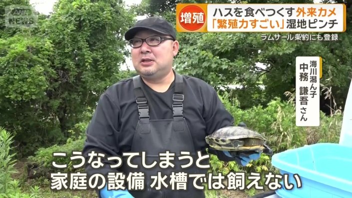 繁殖力がすごいという