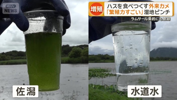 水質も…
