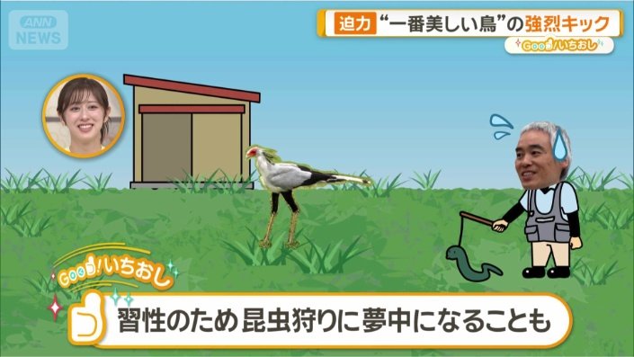 本能的な一面も…