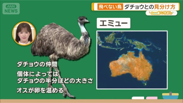 エミュー