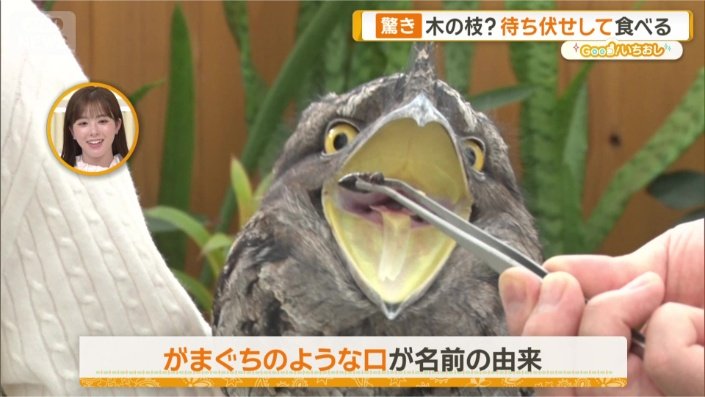 名前の由来