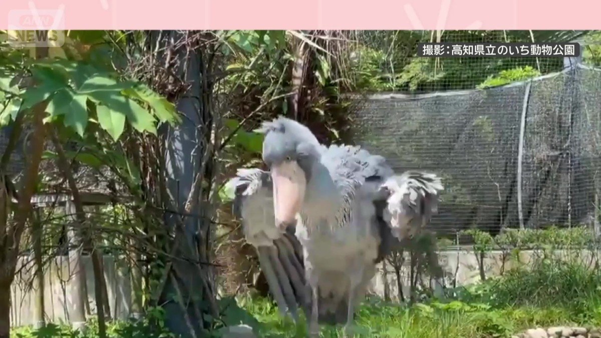 突然激しく動き出す