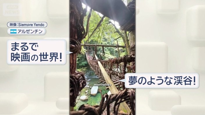 世界中が注目