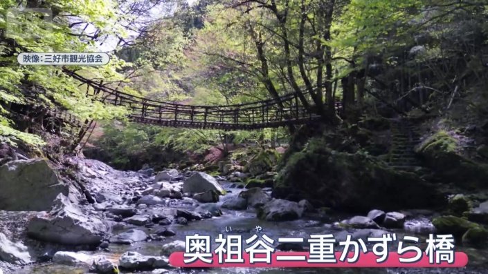 奥祖谷二重かずら橋