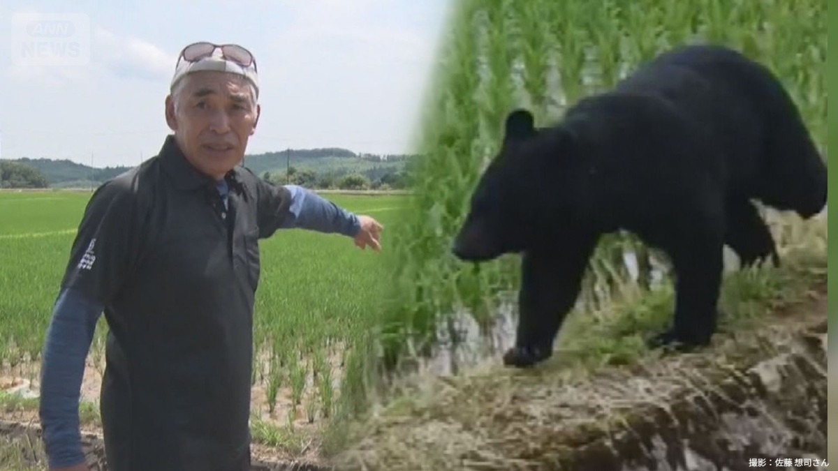 100kg巨大クマと田んぼで遭遇“緊迫の瞬間”