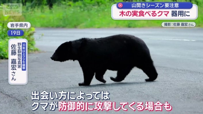 「クマが防御的に攻撃してくる場合も」