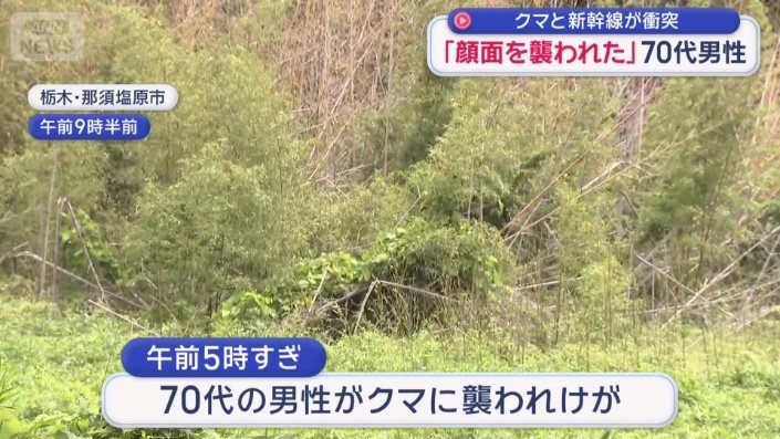 70代の男性がクマに襲われる