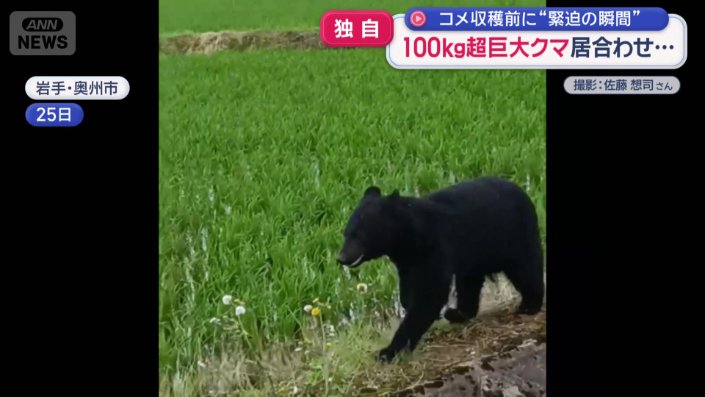 農作業中にクマと遭遇