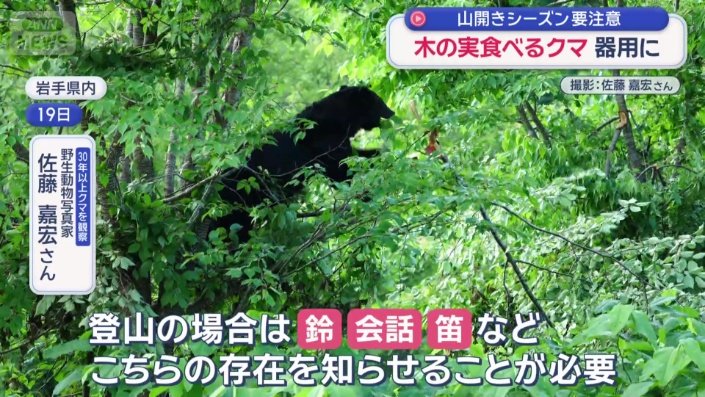 夏は特に警戒が必要