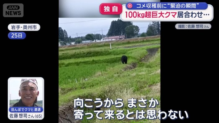 あっという間に近付いてくるクマ