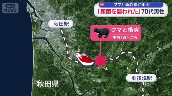 クマが新幹線に衝突
