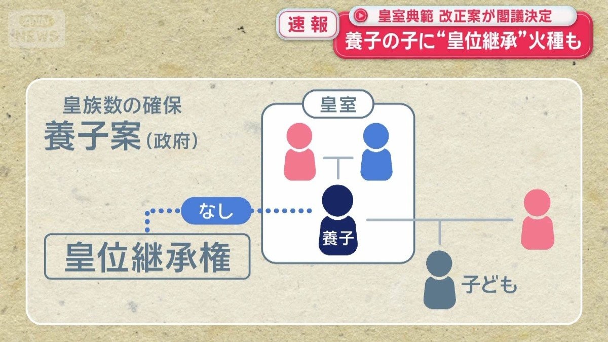 皇室典範　改正案が閣議決定も…皇位継承めぐり“残る火種”