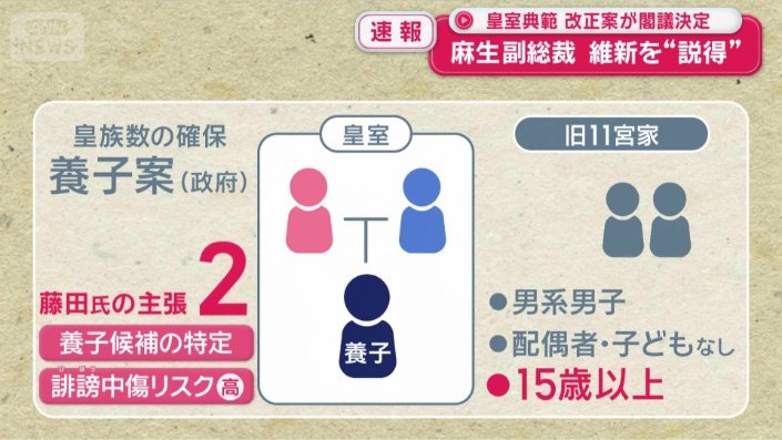 藤田共同代表の主張