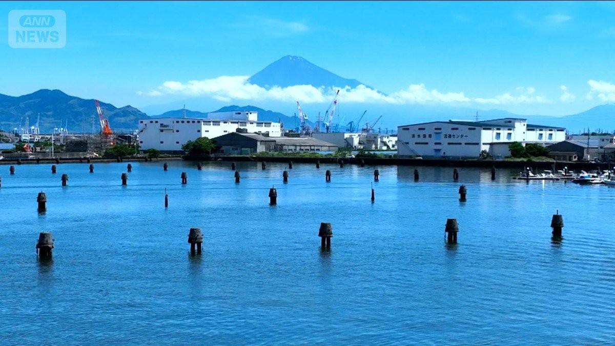神社に“謎の球体”海岸にも？　ミステリー…石を飲み込む木　街のフシギ調査隊