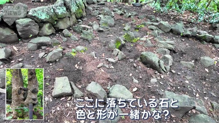 周辺には溶岩石
