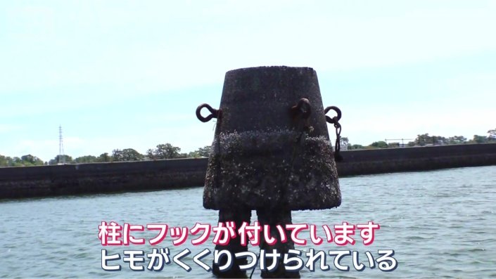 近づいてみると…