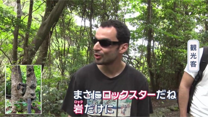 見た目のフシギさから…