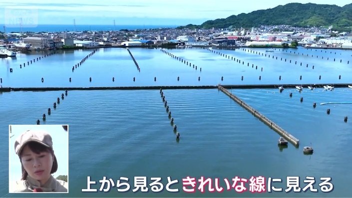 上から見ると…