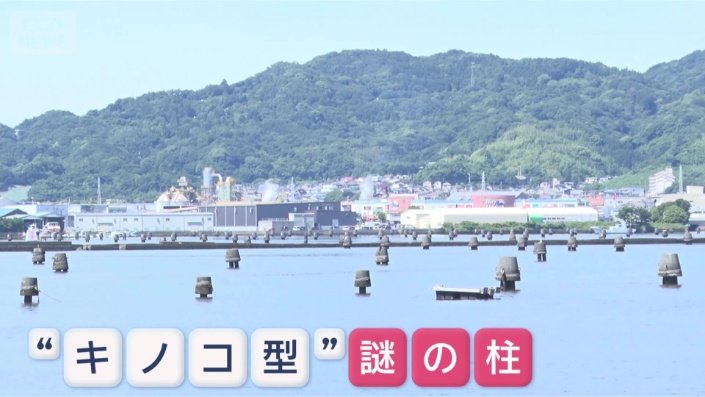 上部の高さは1メートルほど