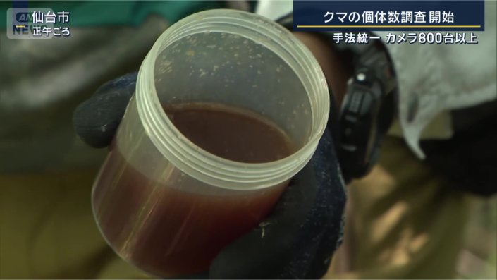 ハチミツと赤ワインを混ぜたエサ