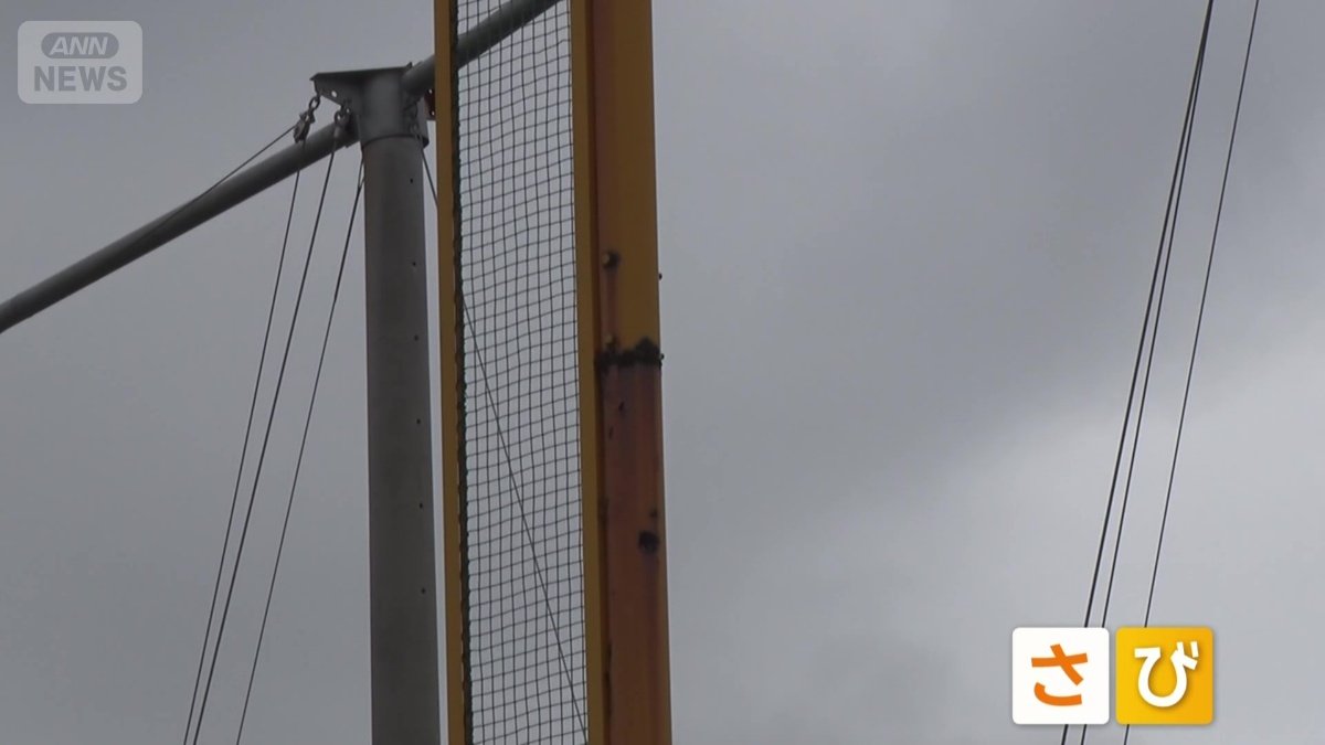 黄色のホームランポールには目立つ大きなサビ