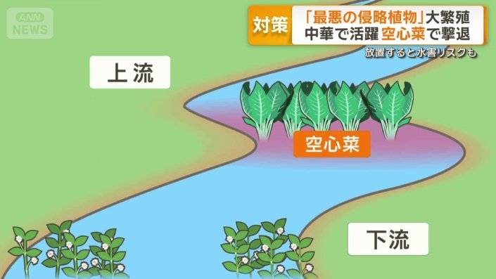 養分を減らして繁殖を抑える試み