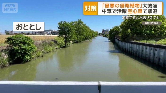 きれいに駆除しても…