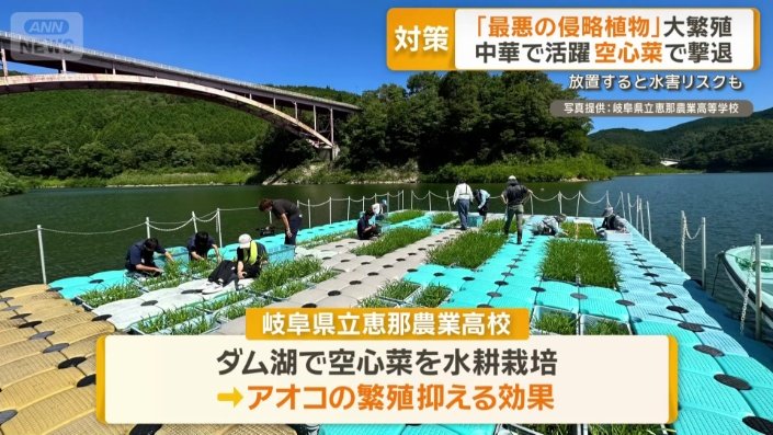 岐阜県での取り組み