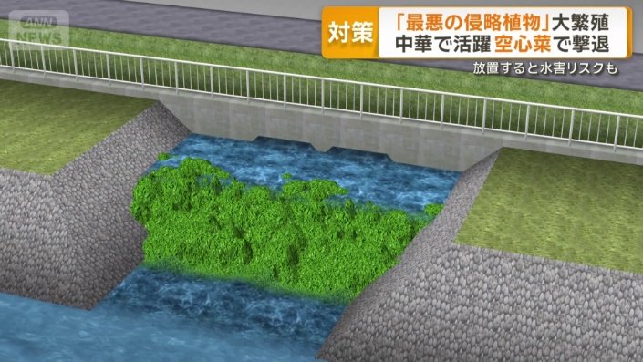 用水路覆い水害の原因にも