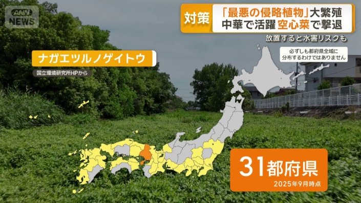 31都府県に拡大