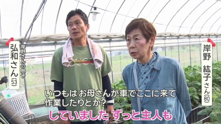 イチゴ畑