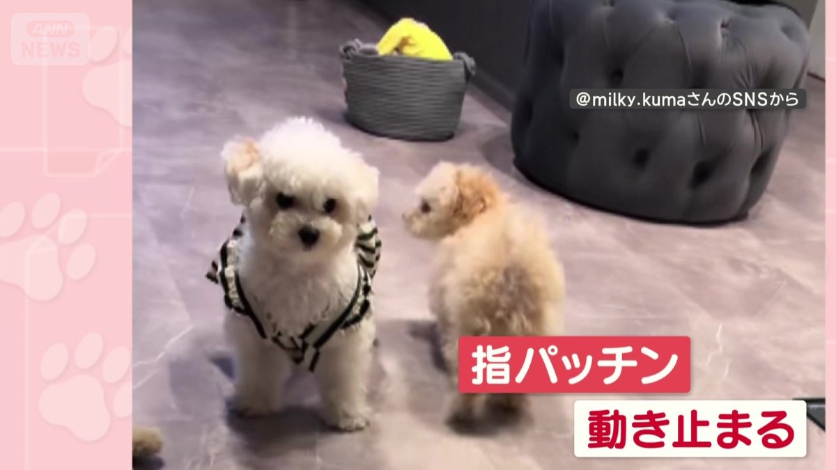 指パッチンをした途端、ピタリ。