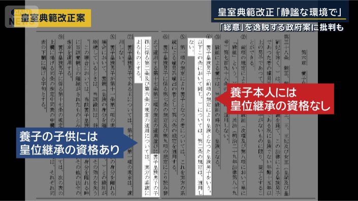 皇室典範改正案
