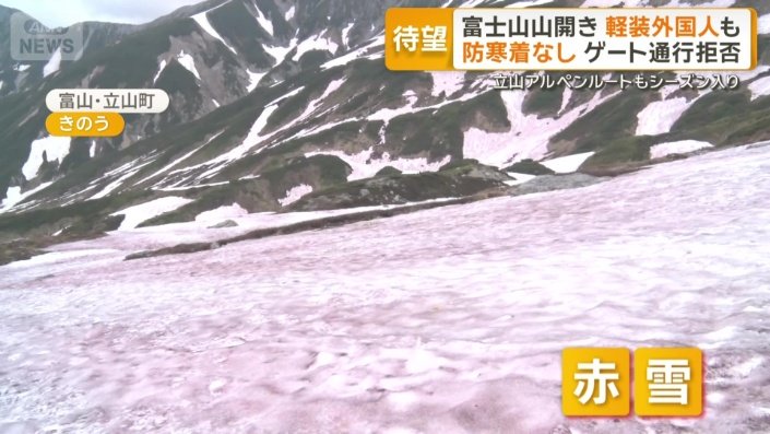 雪が赤く染まる現象「赤雪」