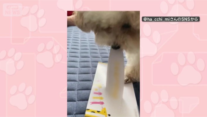 きょうもあけるワン