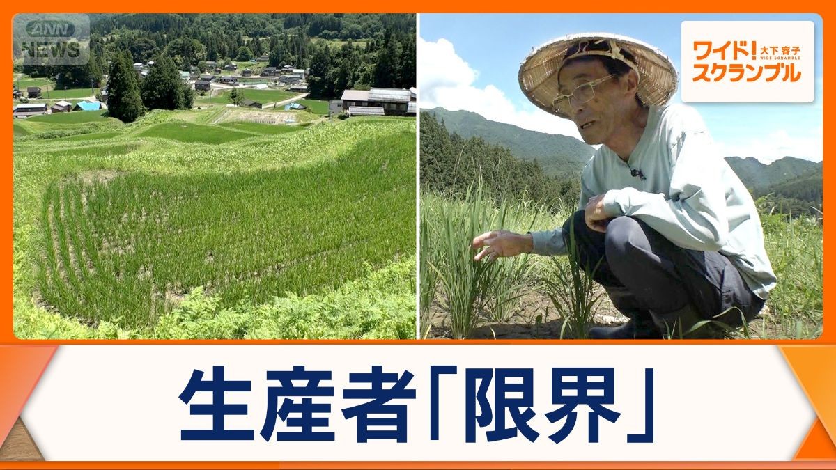 「完全に心が折れました」日本百選・北五百川の棚田　400年の歴史に幕　生産者の想い