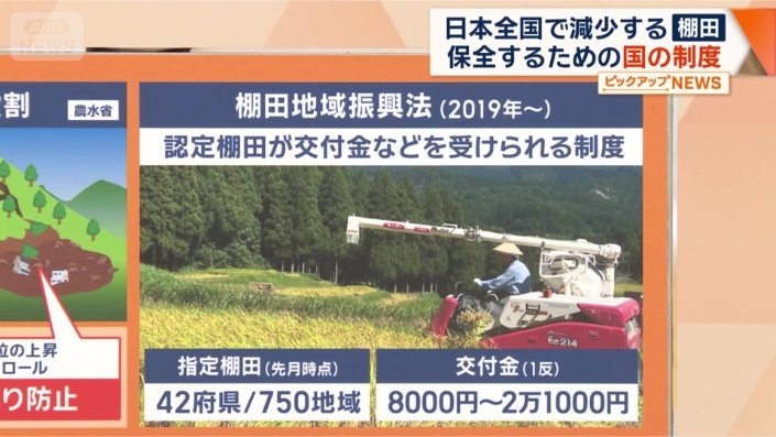 棚田地域振興法