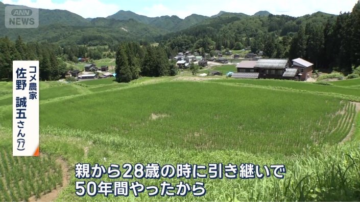 これまで棚田を守り続けたが…