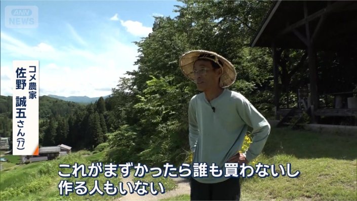 コシヒカリを丹精込めて育てる