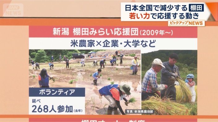棚田みらい応援団