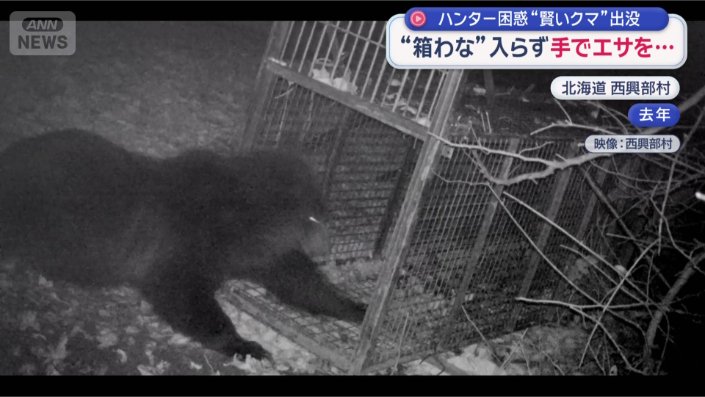 危険を察知しているような動き？